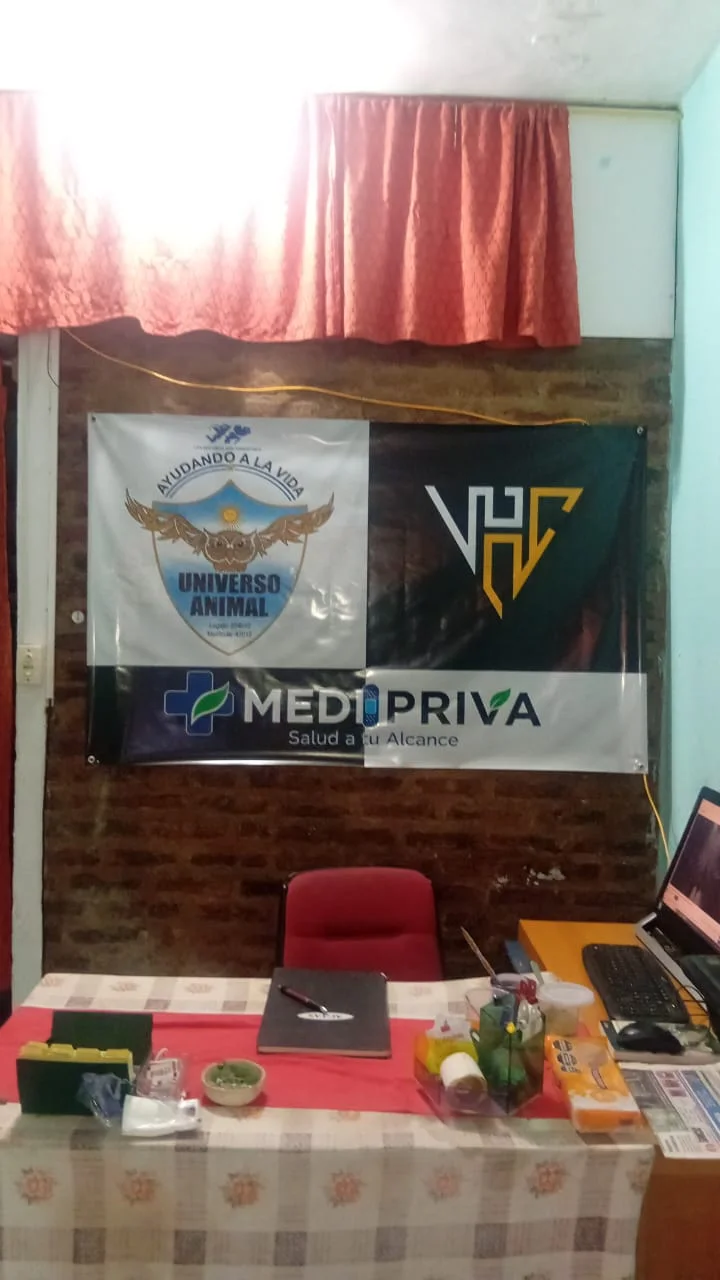 Espacio de trabajo de Universo Animal en San Miguel